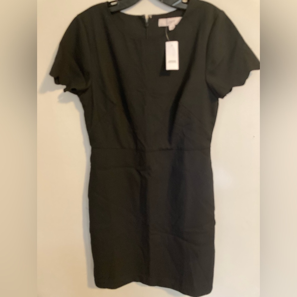 NWT Ann Taylor LOFT Dress scalloped Black 6 fitted